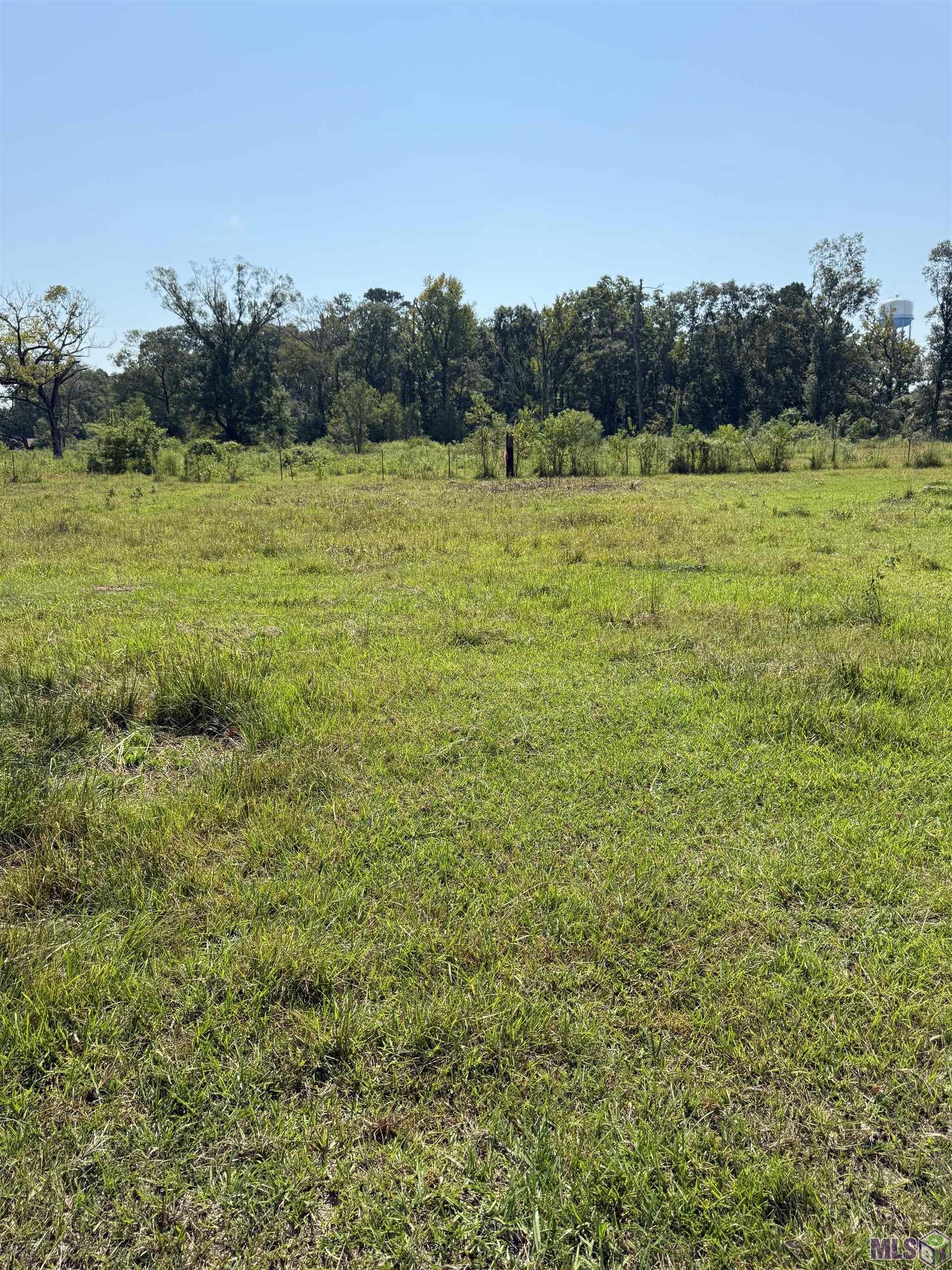 3 Lockhart Road Denham Springs, LA 70726 - Photo 3 of 8