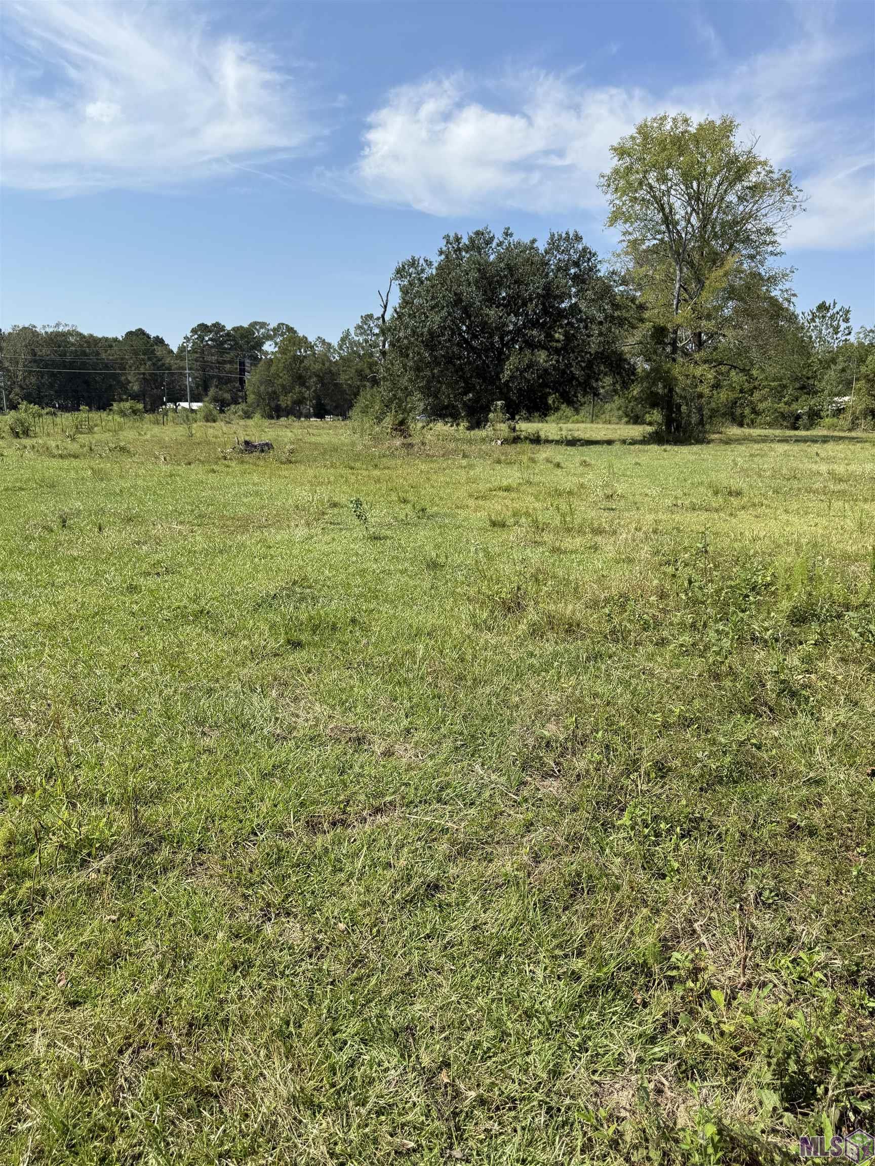 3 Lockhart Road Denham Springs, LA 70726 - Photo 5 of 8