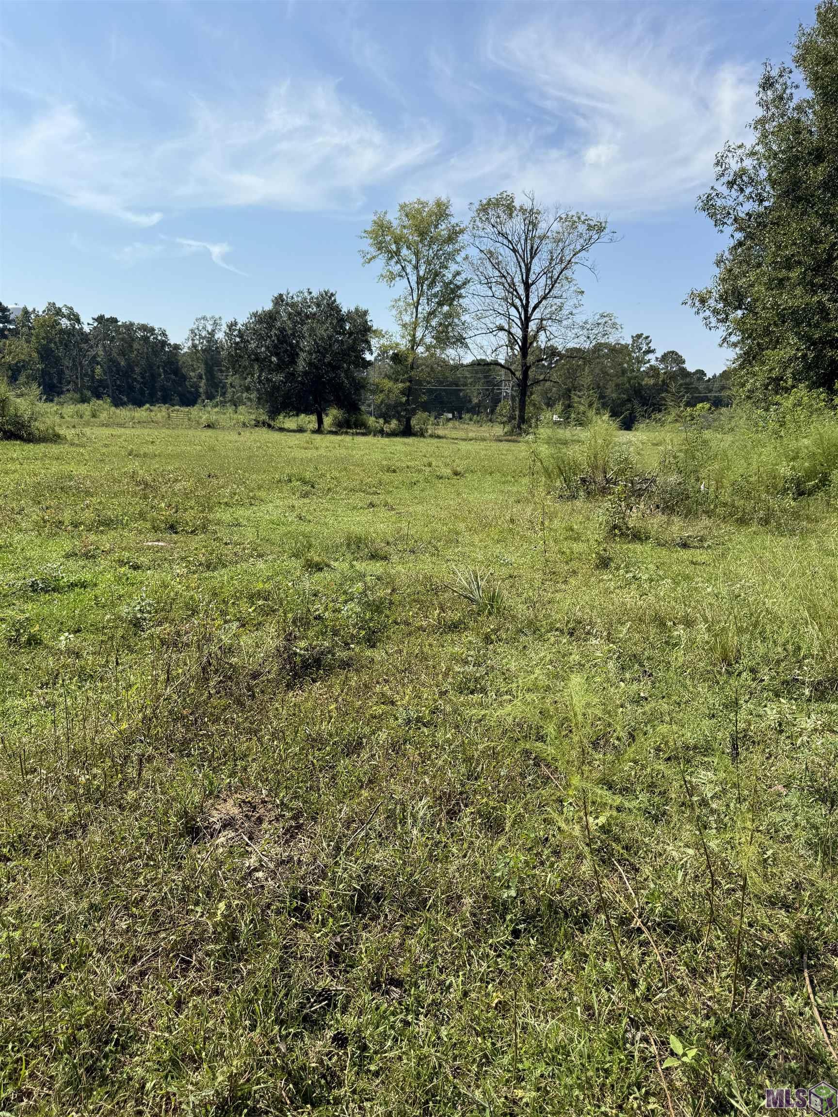 3 Lockhart Road Denham Springs, LA 70726 - Photo 6 of 8