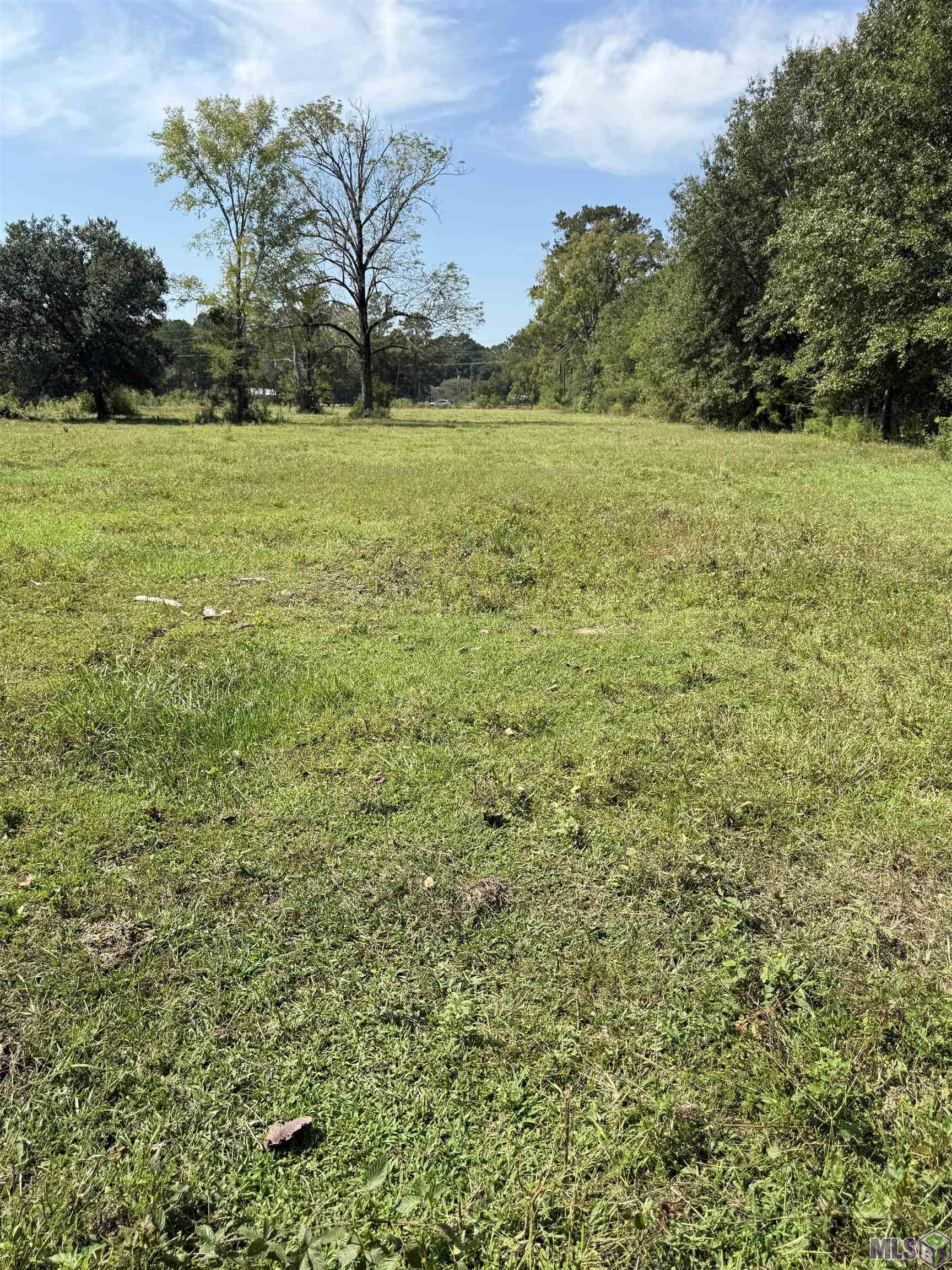 3 Lockhart Road Denham Springs, LA 70726 - Photo 7 of 8