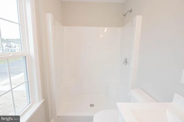 a view of room and yard