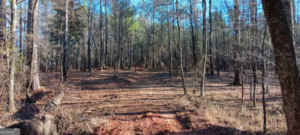 a view of outdoor space with trees