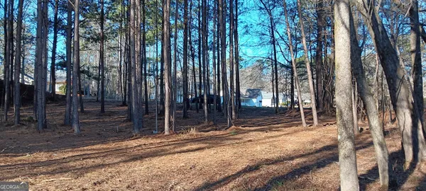 a view of backyard with trees