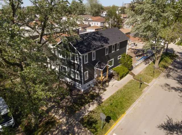 a view of a yard with plants and large trees