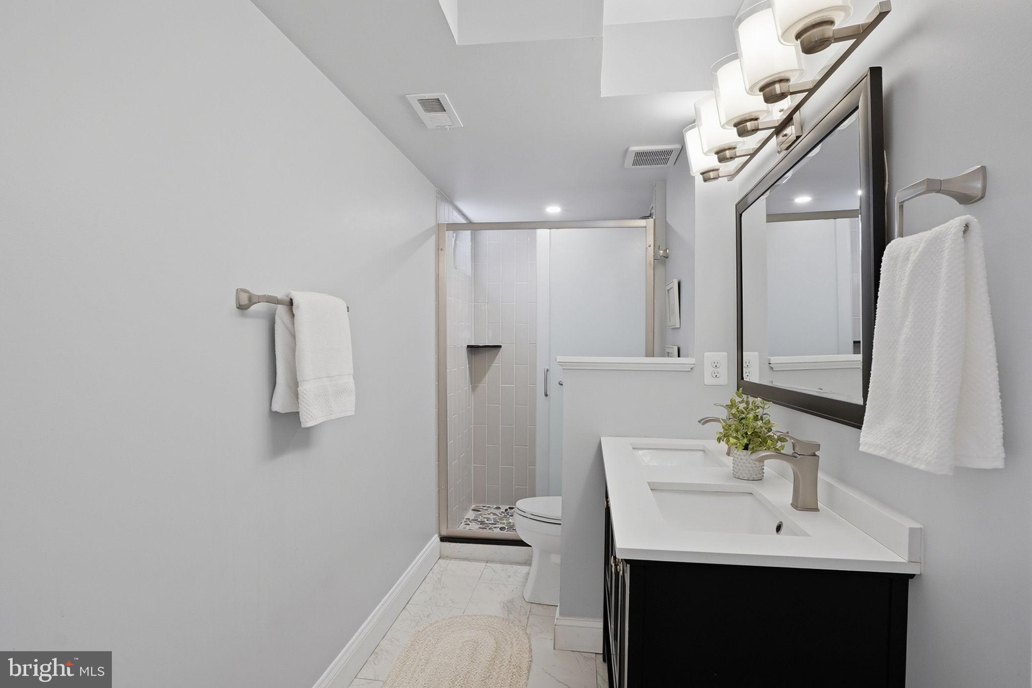 212 Spruce Avenue Edgewater, MD 21037 - Photo 22 of 45 Primary Bathroom