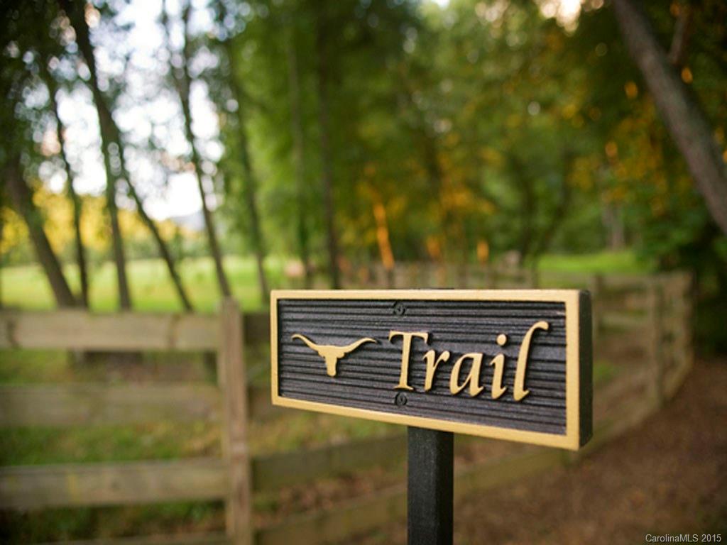 Lot 27 Jake Ridge Trail, Unit 27 Fletcher, NC 28732 - Photo 2 of 9 Gallery Image 2