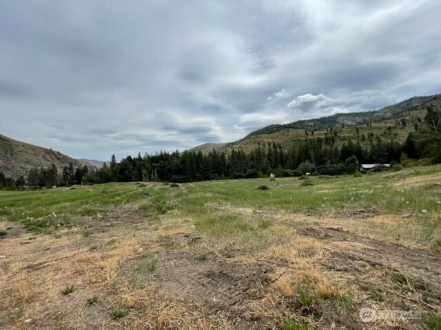 4 Black Canyon Road Carlton, WA 98814 - Photo 1 of 13