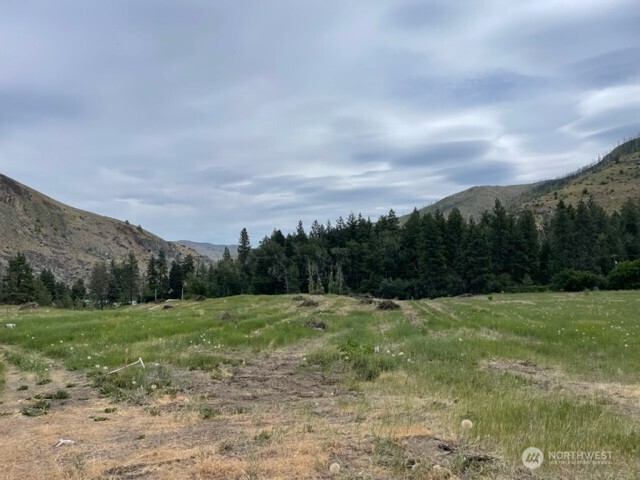 4 Black Canyon Road Carlton, WA 98814 - Photo 6 of 13