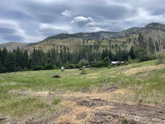 4 Black Canyon Road Carlton, WA 98814 - Photo 7 of 13