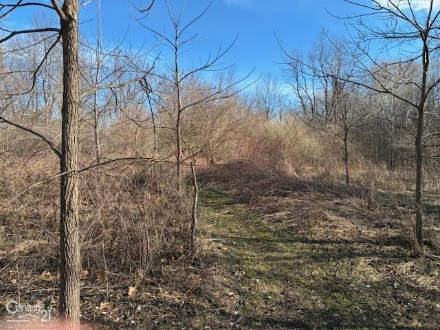 0 Marshall Road Ann Arbor, MI 48104 - Photo 11 of 17 Gallery Image 11