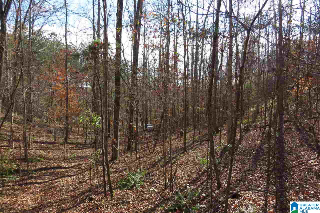 436 County Road, Unit 41 87 Muscadine, AL 36269 - Photo 1 of 8