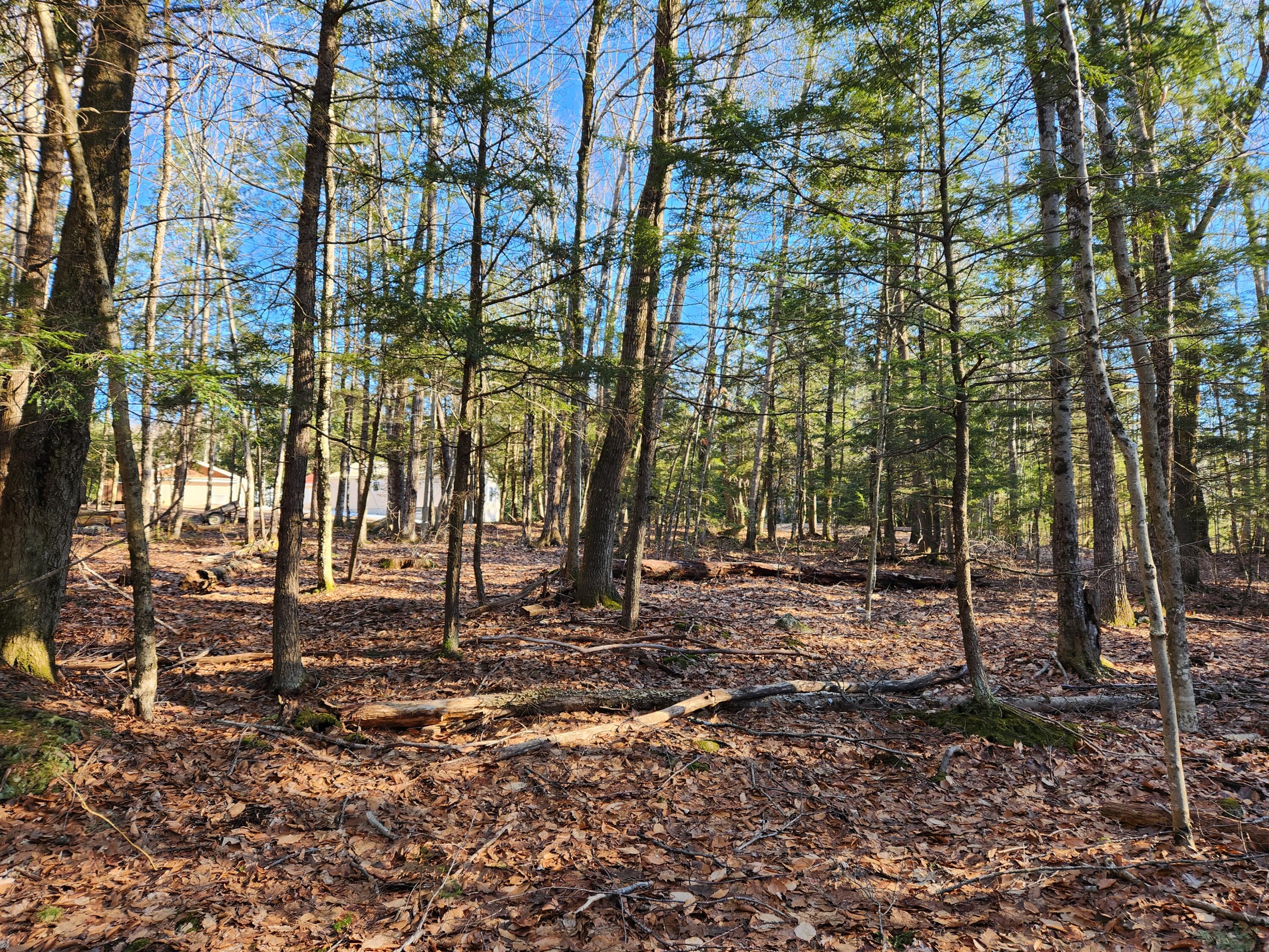 55 A A To Z Road Greene, ME 04236 - Photo 48 of 54 20240308_152411