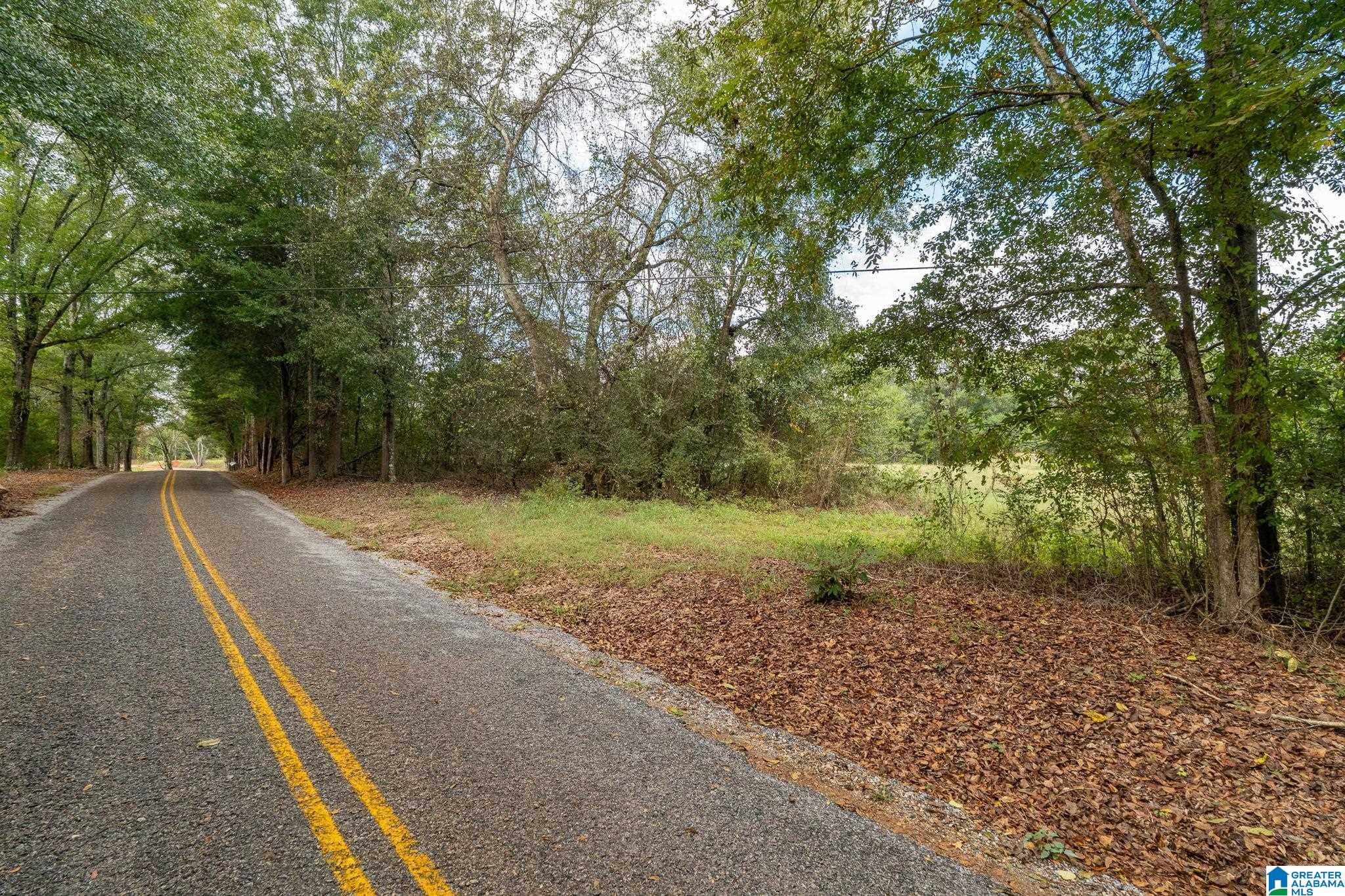0 Allred Road, Unit PARCEL #5 Lincoln, AL 35096 - Photo 1 of 24