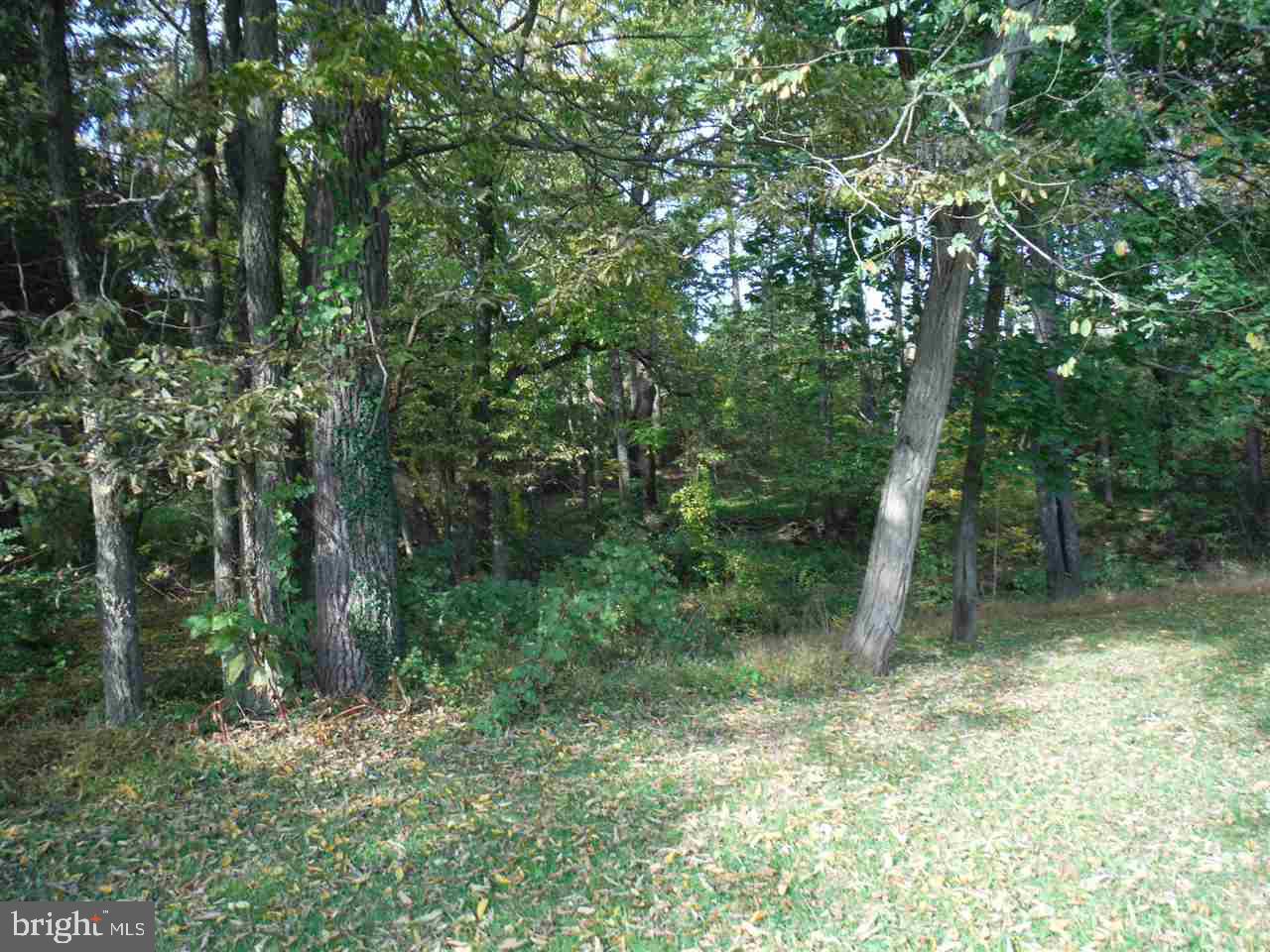430 Wago Road Mount Wolf, PA 17347 - Photo 9 of 35 Gallery Image 9
