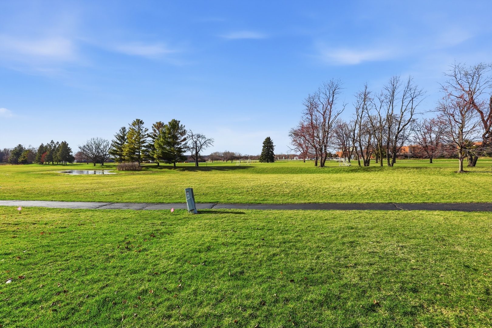 1780 Pebble Beach Circle Elgin, IL 60123 - Photo 21 of 21 a view of a big yard with a trees