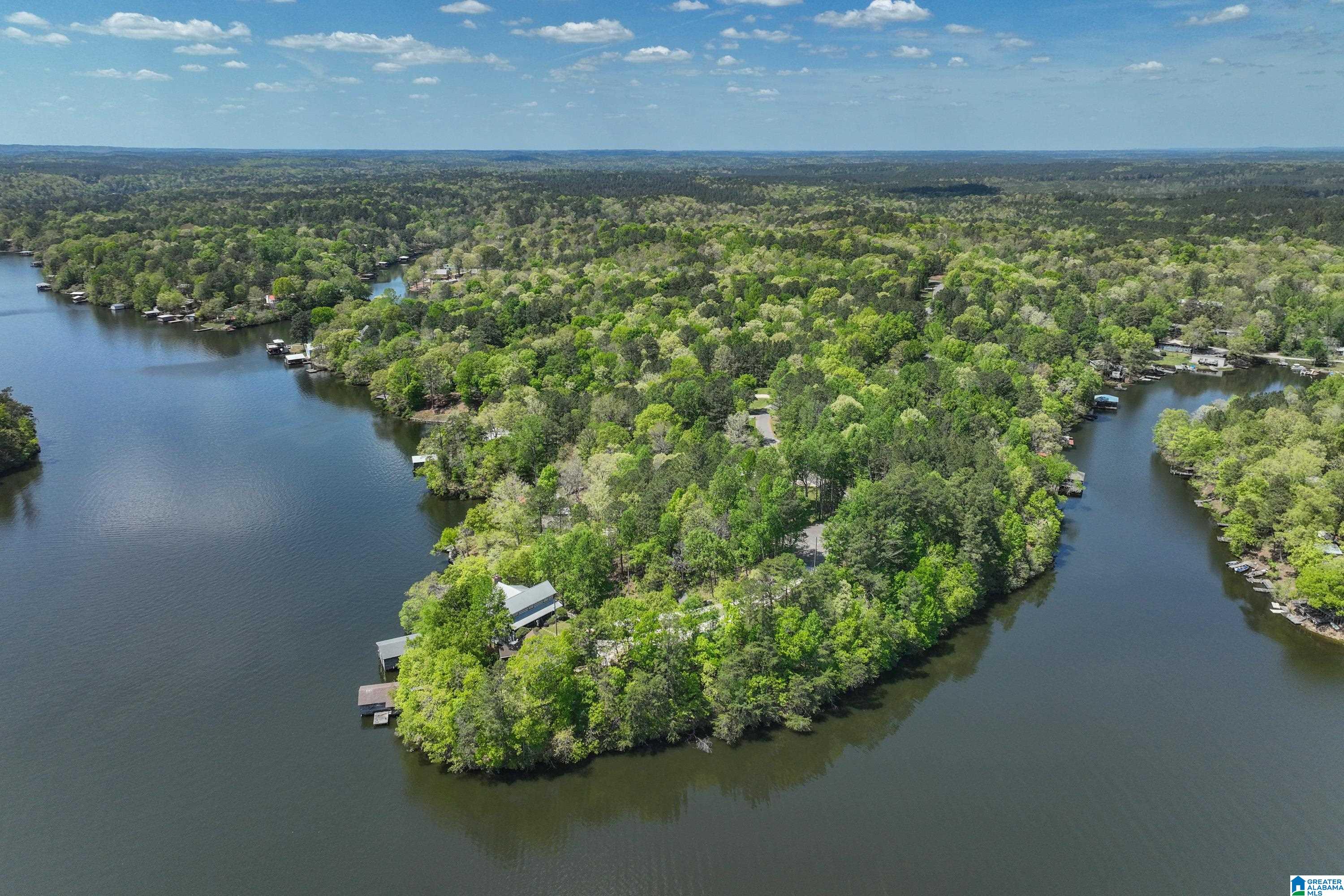 358 Ridge Drive Shelby, AL 35143 - Photo 67 of 94