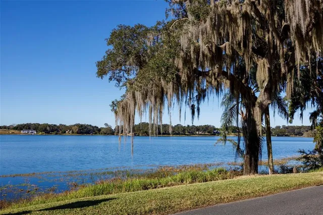a view of a yard with a tree