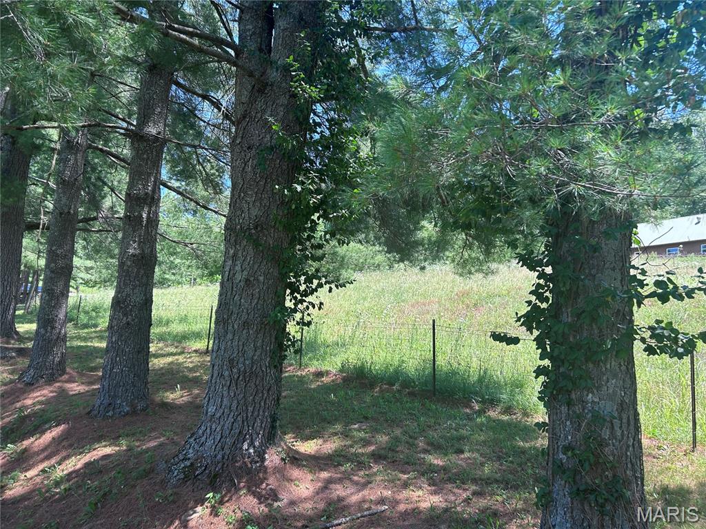 183 Graham Road Steelville, MO 65565 - Photo 10 of 82