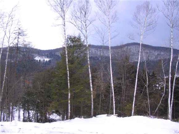 0 Mt Hunger Road Bethel, VT 05772 - Photo 1 of 1 Gallery Image 1