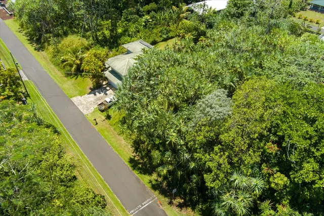 a view of a garden with plants