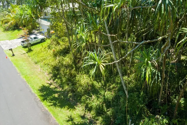 a view of a plant in a garden