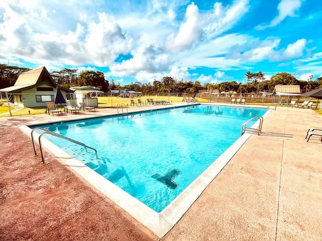 a view of swimming pool with a yard