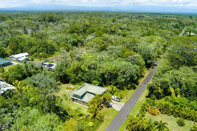 a view of a yard with plants