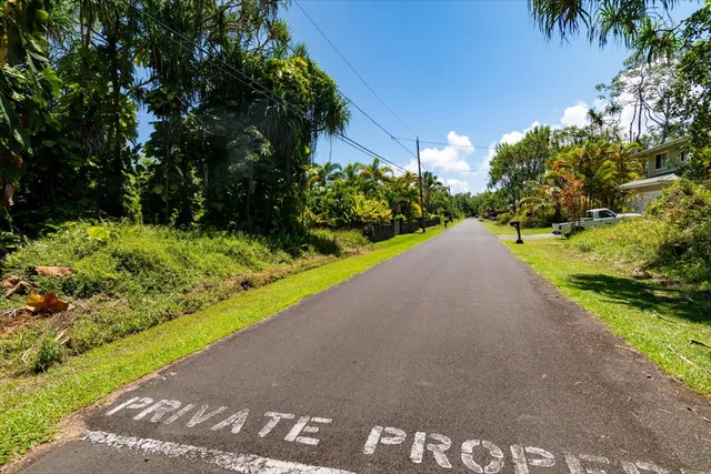 a view of a street with a tree