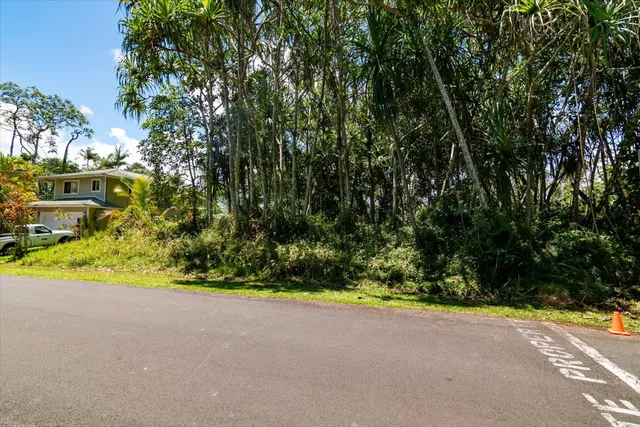 a view of road and yard