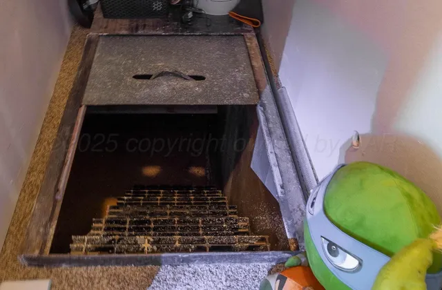 swimming pool view with a lake view