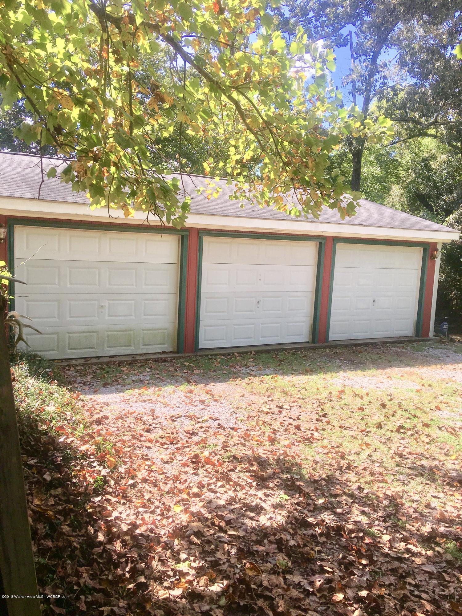 2087 Sipsey Road Jasper, AL 35504 - Photo 3 of 16 Gallery Image 3