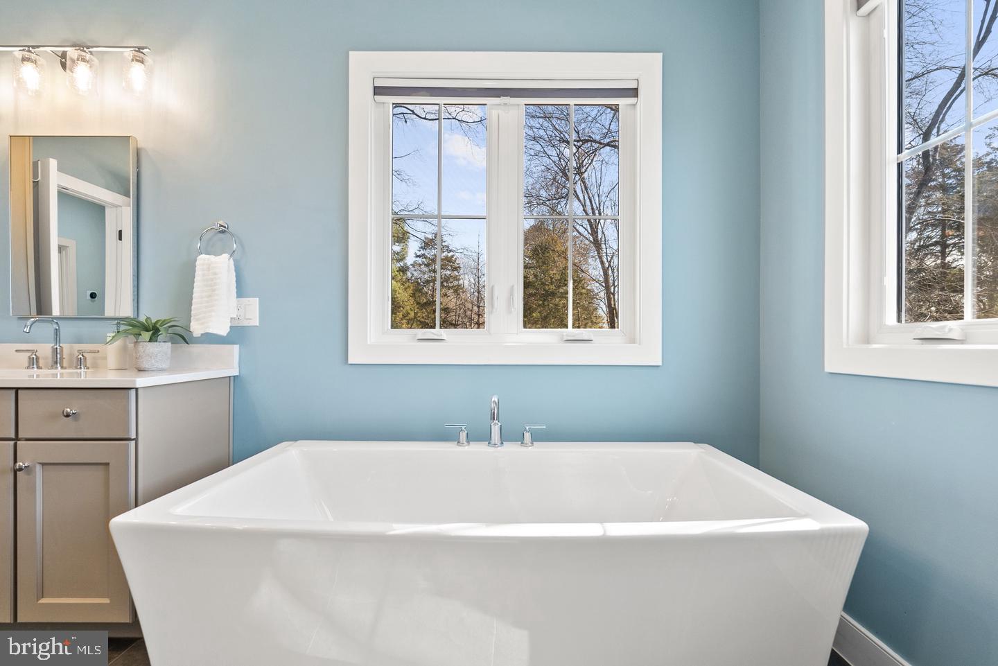 8633 Fort Hunt Road Alexandria, VA 22308 - Photo 34 of 62 Soaking tub