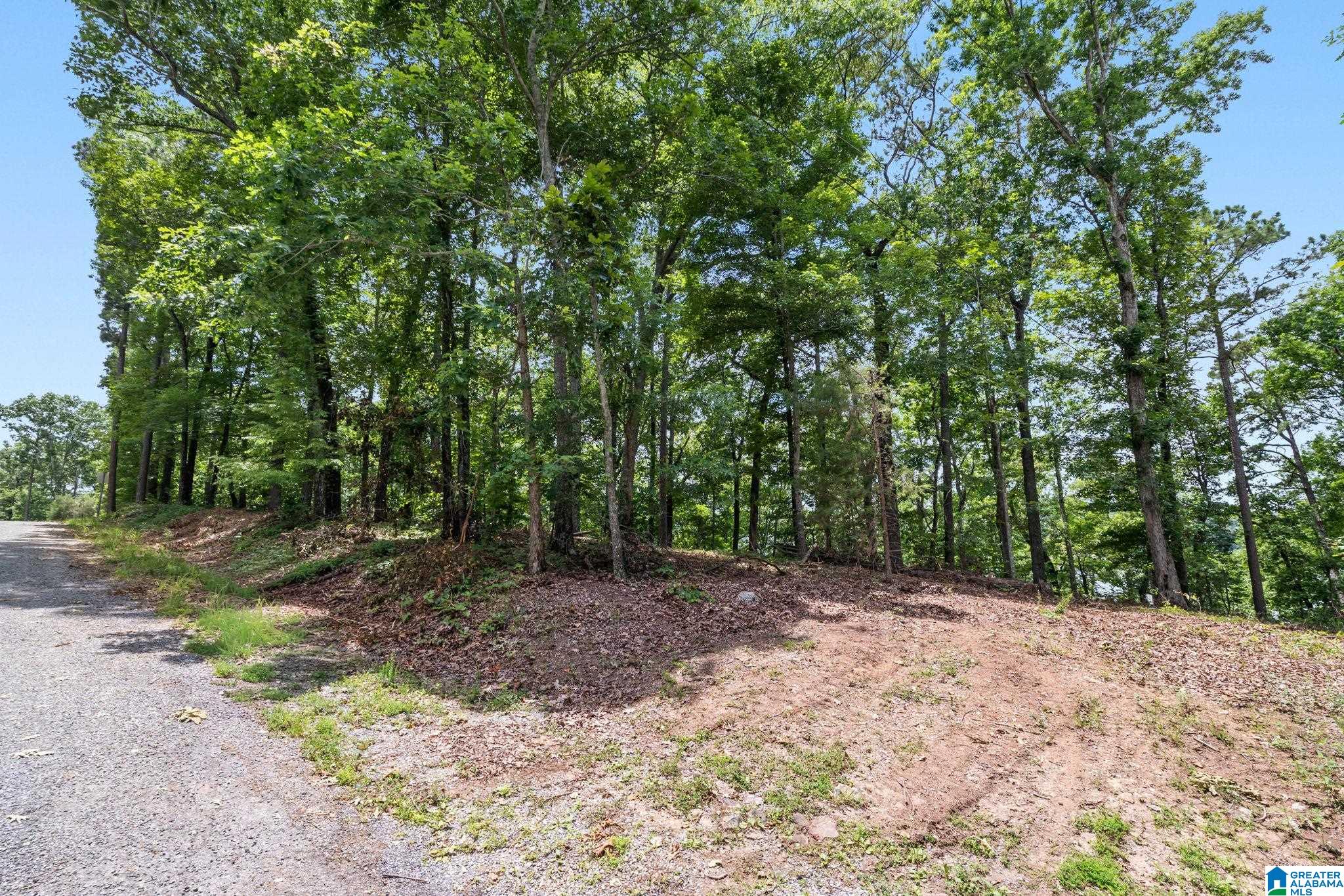 1205 Lk Rdg Lane, Unit 10 Talladega, AL 35160 - Photo 14 of 38