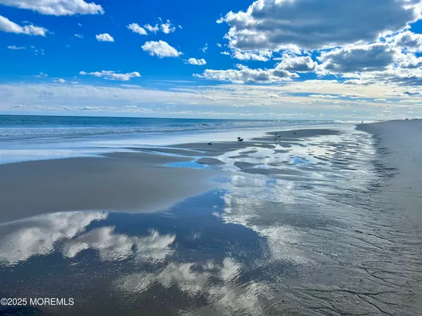 a view of a dry yard with wooden fence