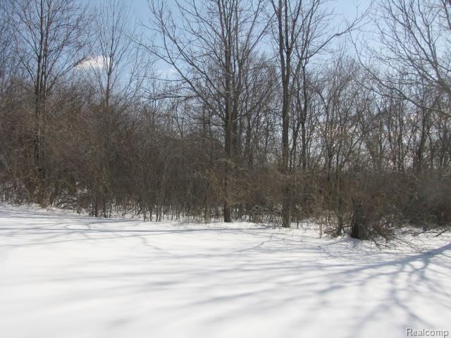 70 Townsend Road Leonard, MI 48367 - Photo 37 of 41 #37 Back.jpg