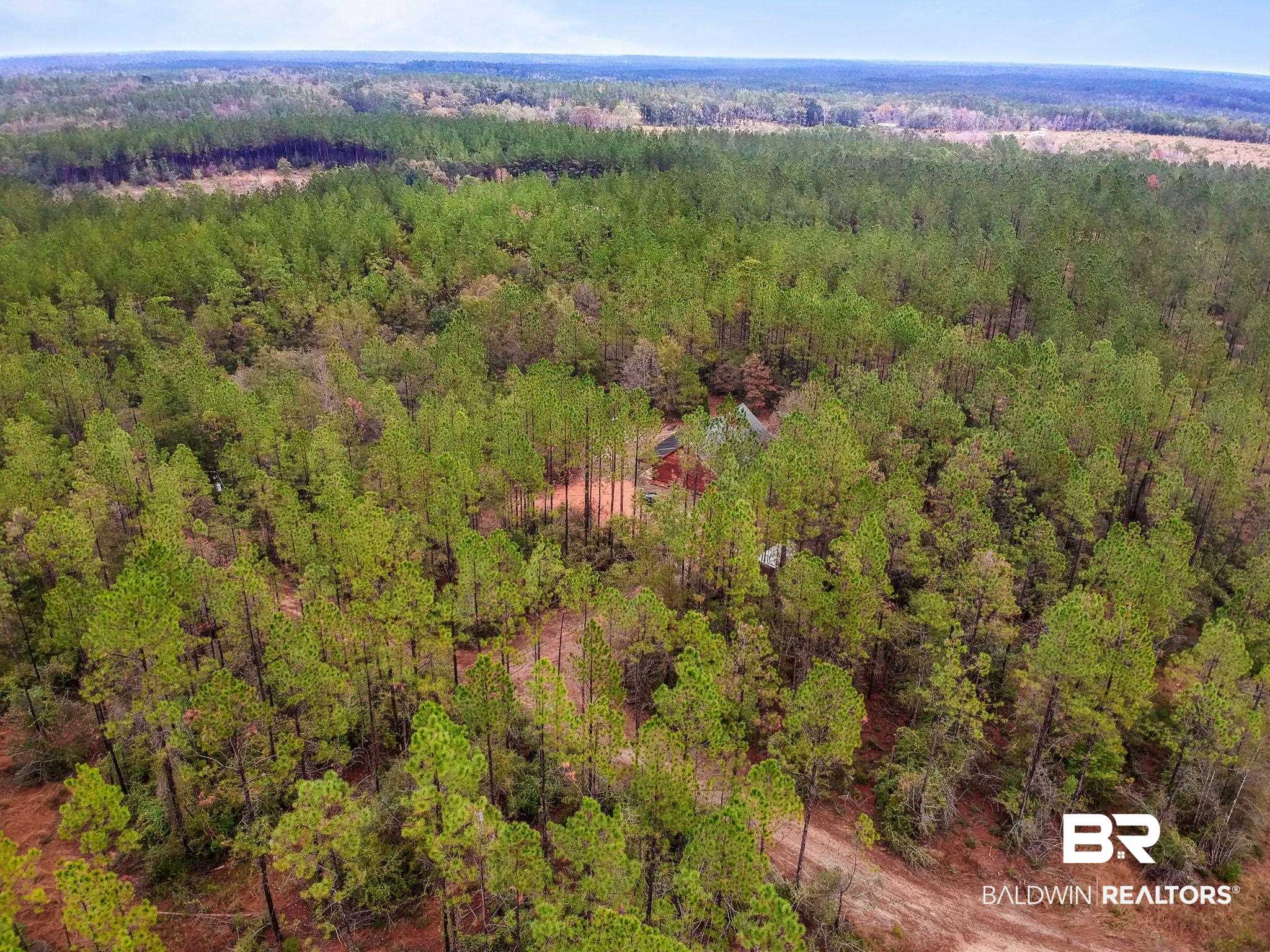 49781 Ronald Sanks Road Bay Minette, AL 36507 - Photo 26 of 29