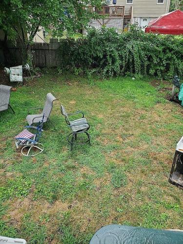 29 Basse Circle Lynn, MA 01905 - Photo 11 of 13