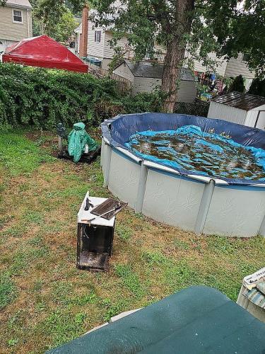 29 Basse Circle Lynn, MA 01905 - Photo 12 of 13