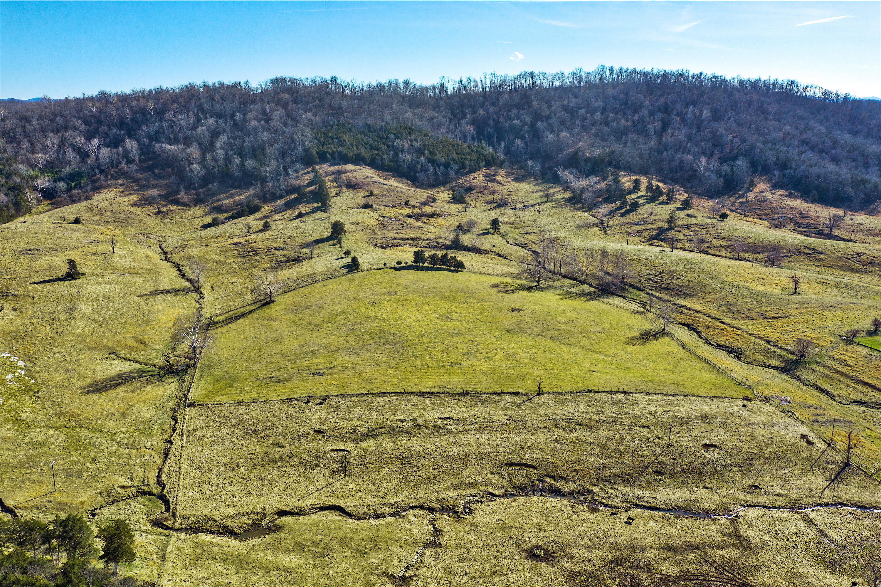 81 Toad Run Lexington, VA 24450 - Photo 4 of 44 04