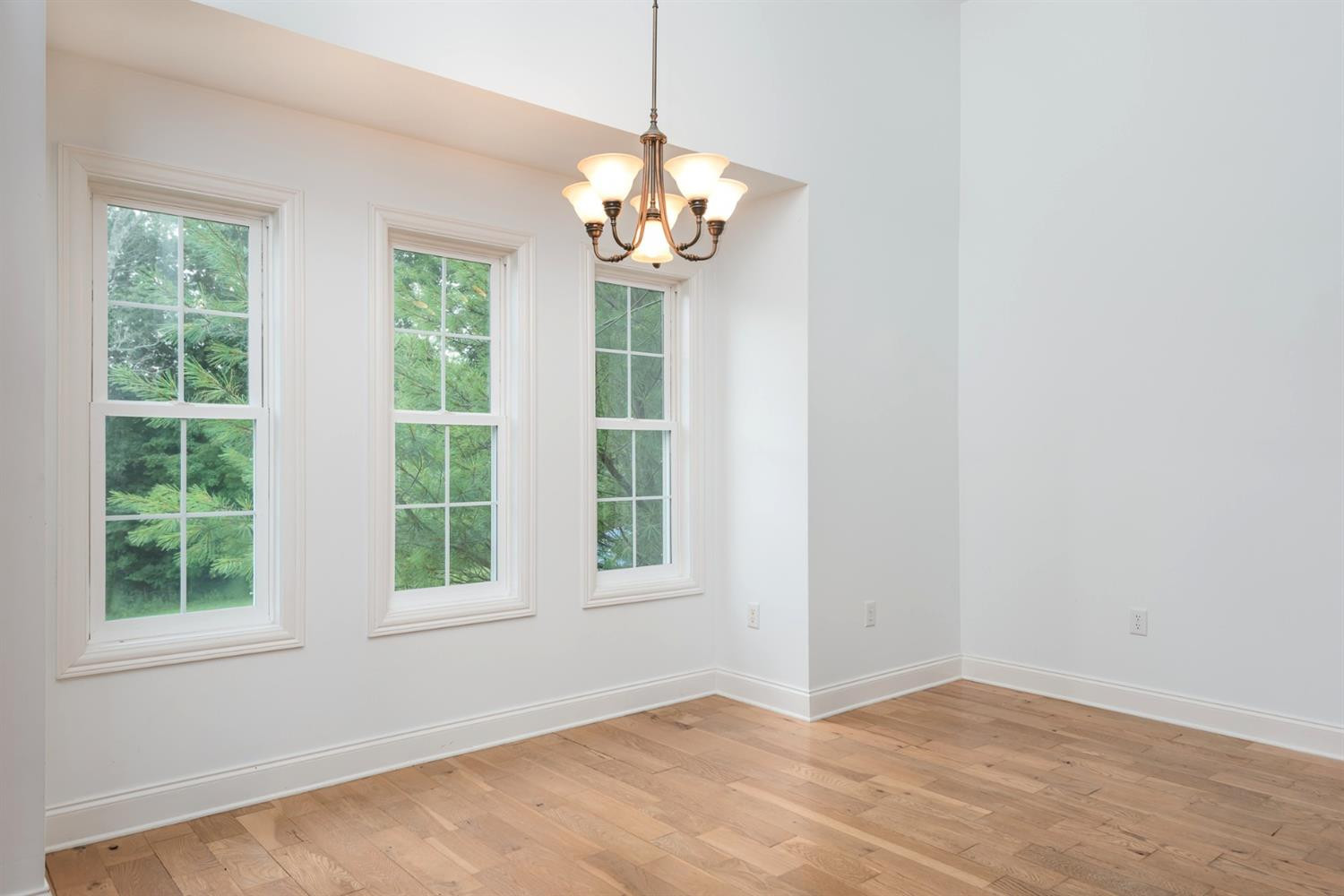 601 Morris Road Sadieville, KY 40370 - Photo 13 of 68 Photo 13