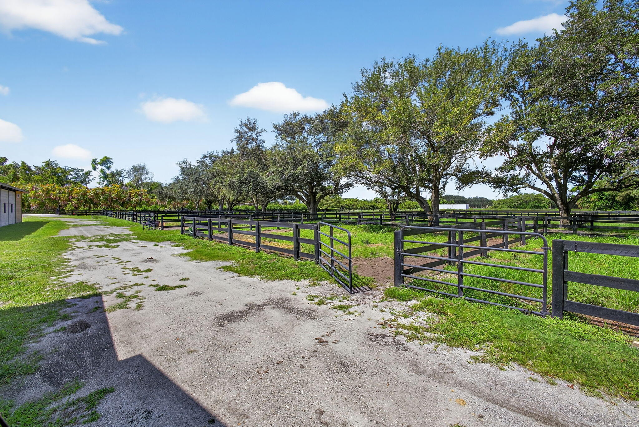 16229 Rustic Road Wellington, FL 33470 - Photo 103 of 140 100-web-or-mls-BS1A8249