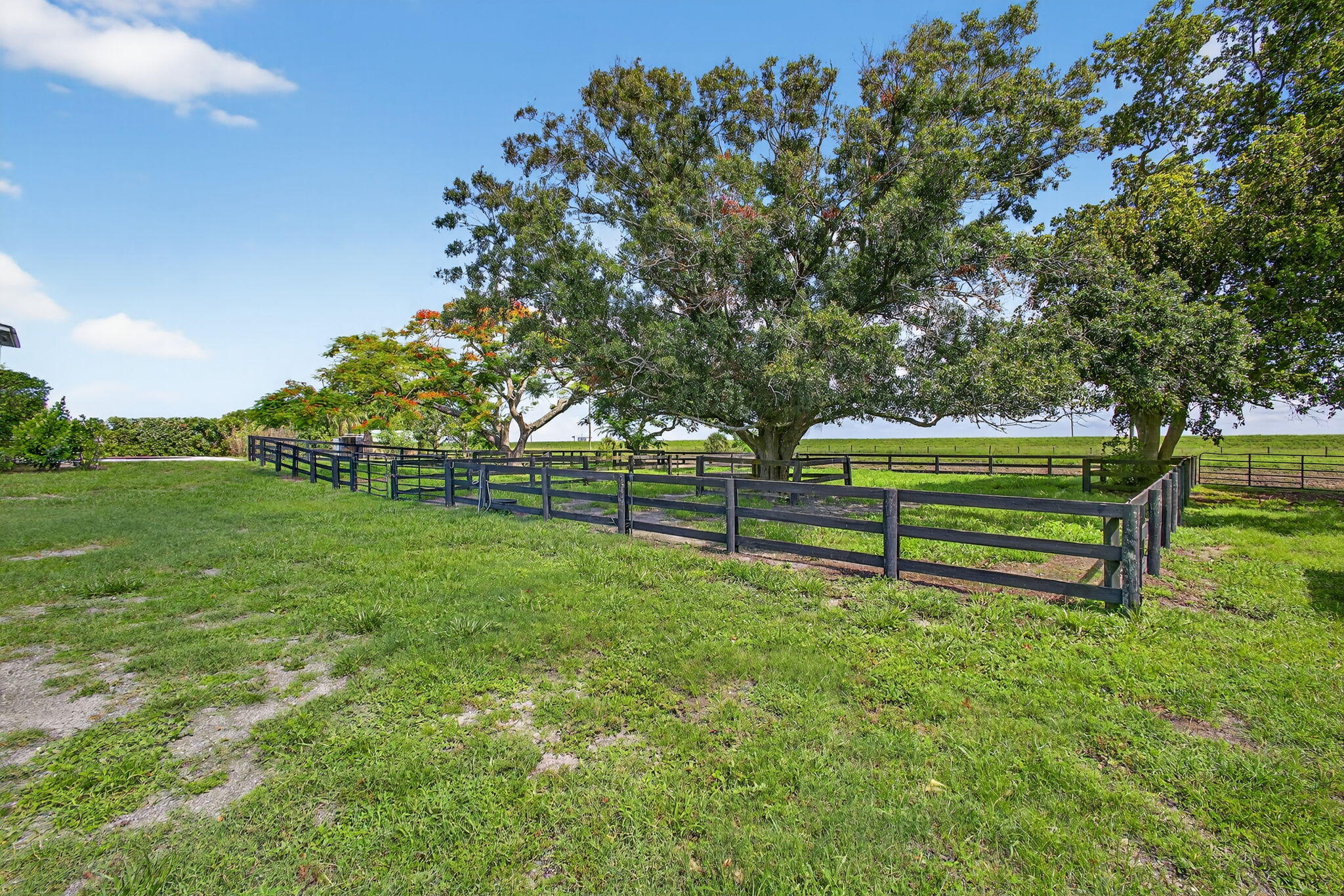 16229 Rustic Road Wellington, FL 33470 - Photo 104 of 140 a view of a park with large trees