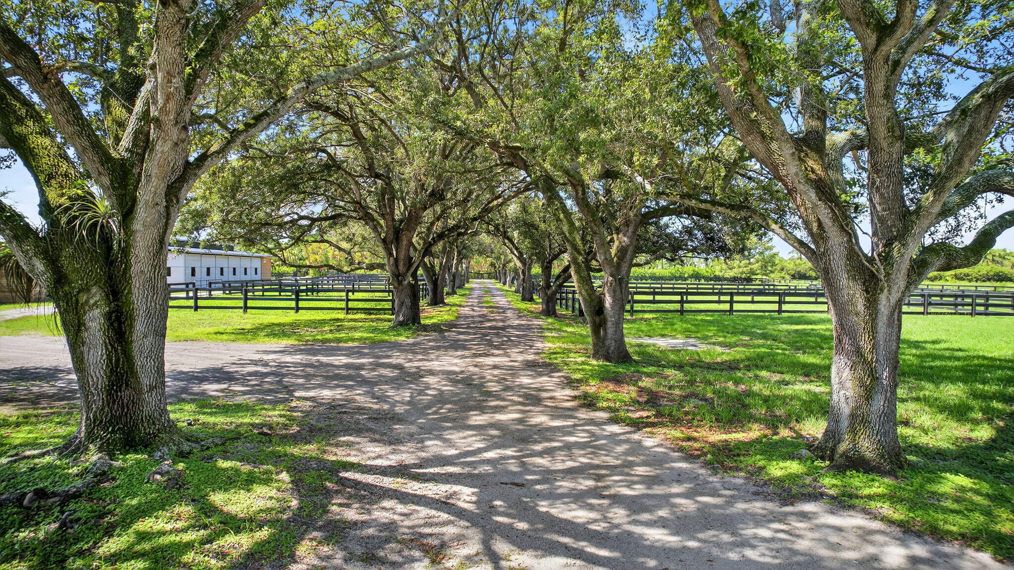16229 Rustic Road Wellington, FL 33470 - Photo 125 of 140 a view of a yard with large trees
