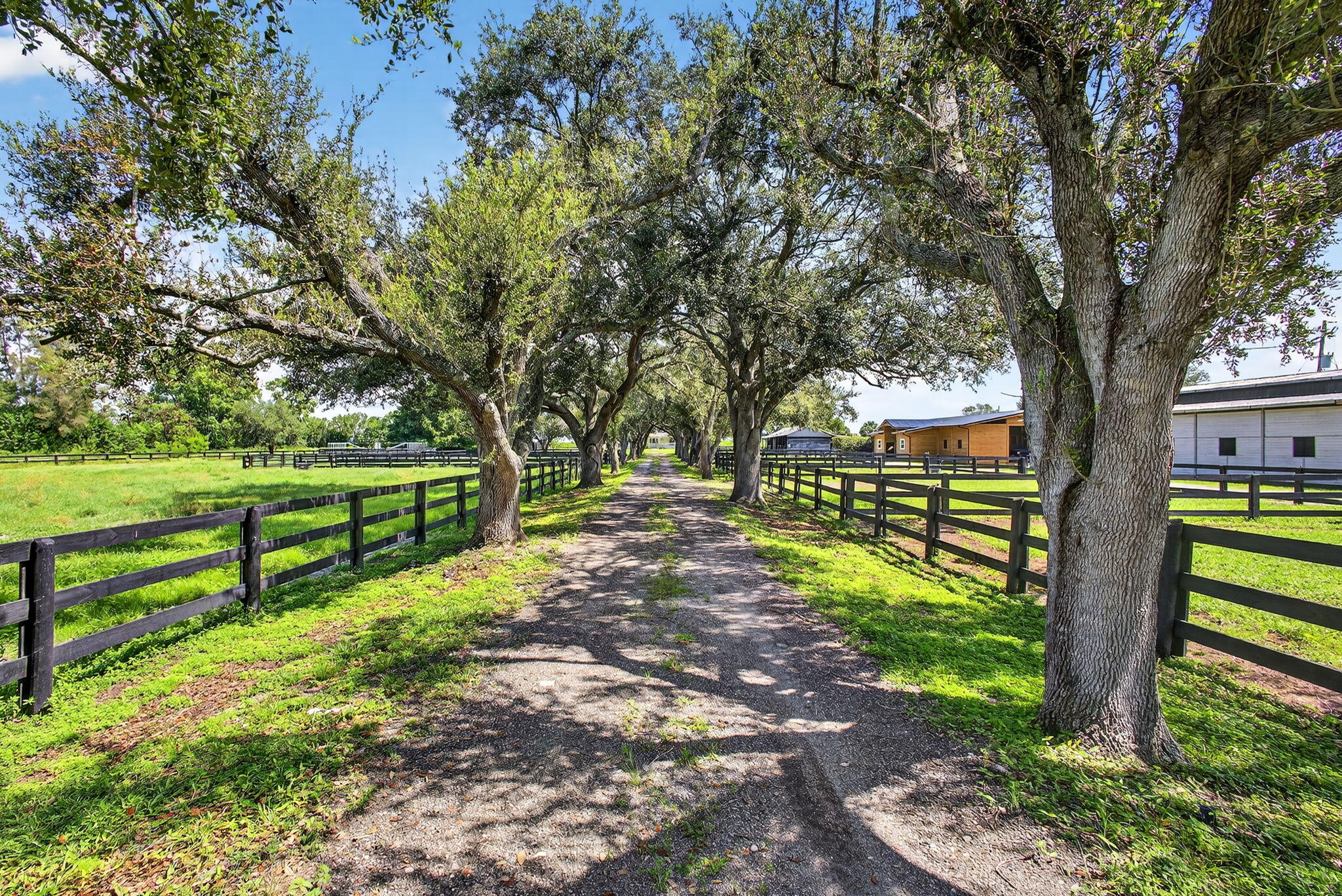 16229 Rustic Road Wellington, FL 33470 - Photo 5 of 140 2-web-or-mls-BS1A8099