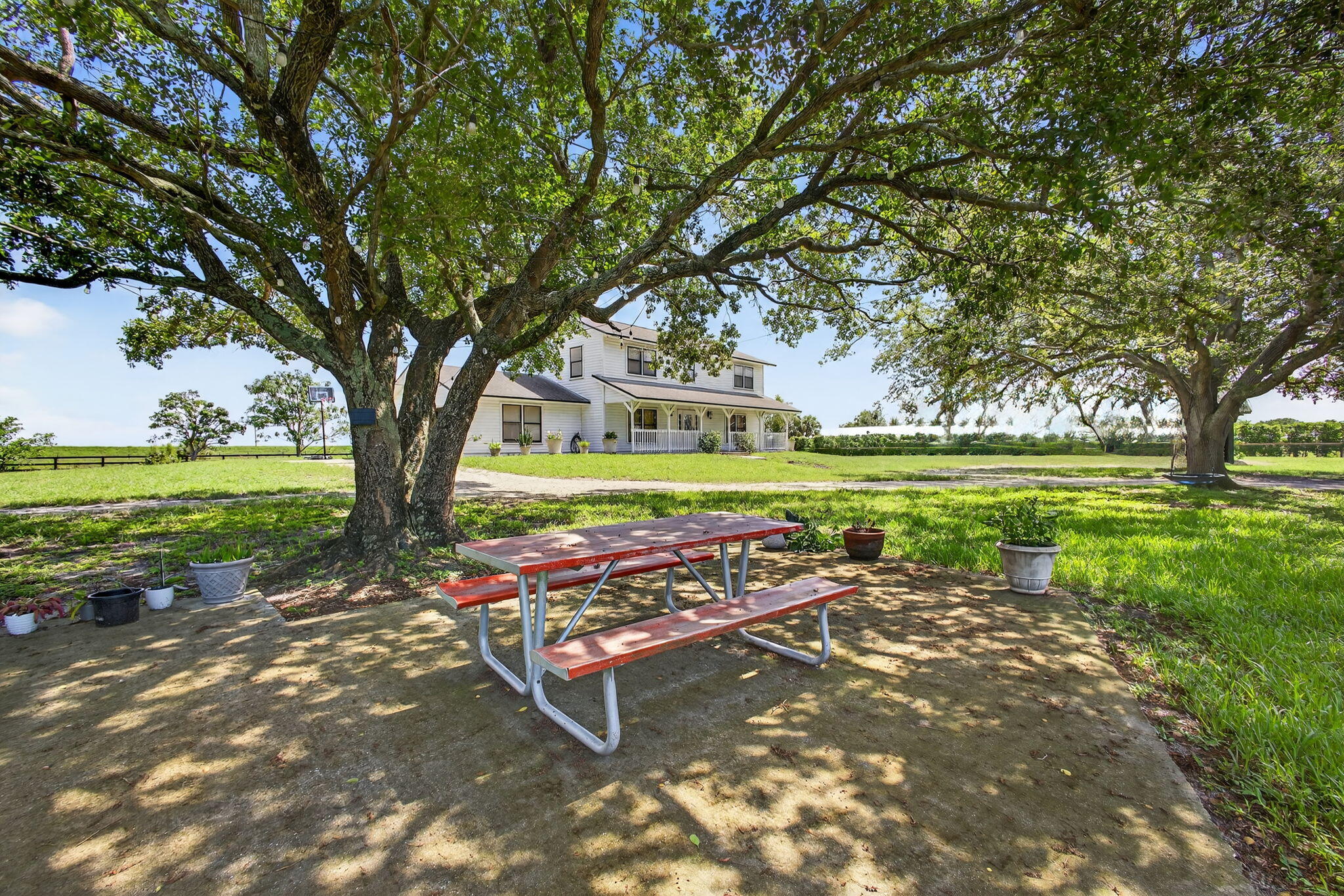 16229 Rustic Road Wellington, FL 33470 - Photo 60 of 140 a view of a park with large trees