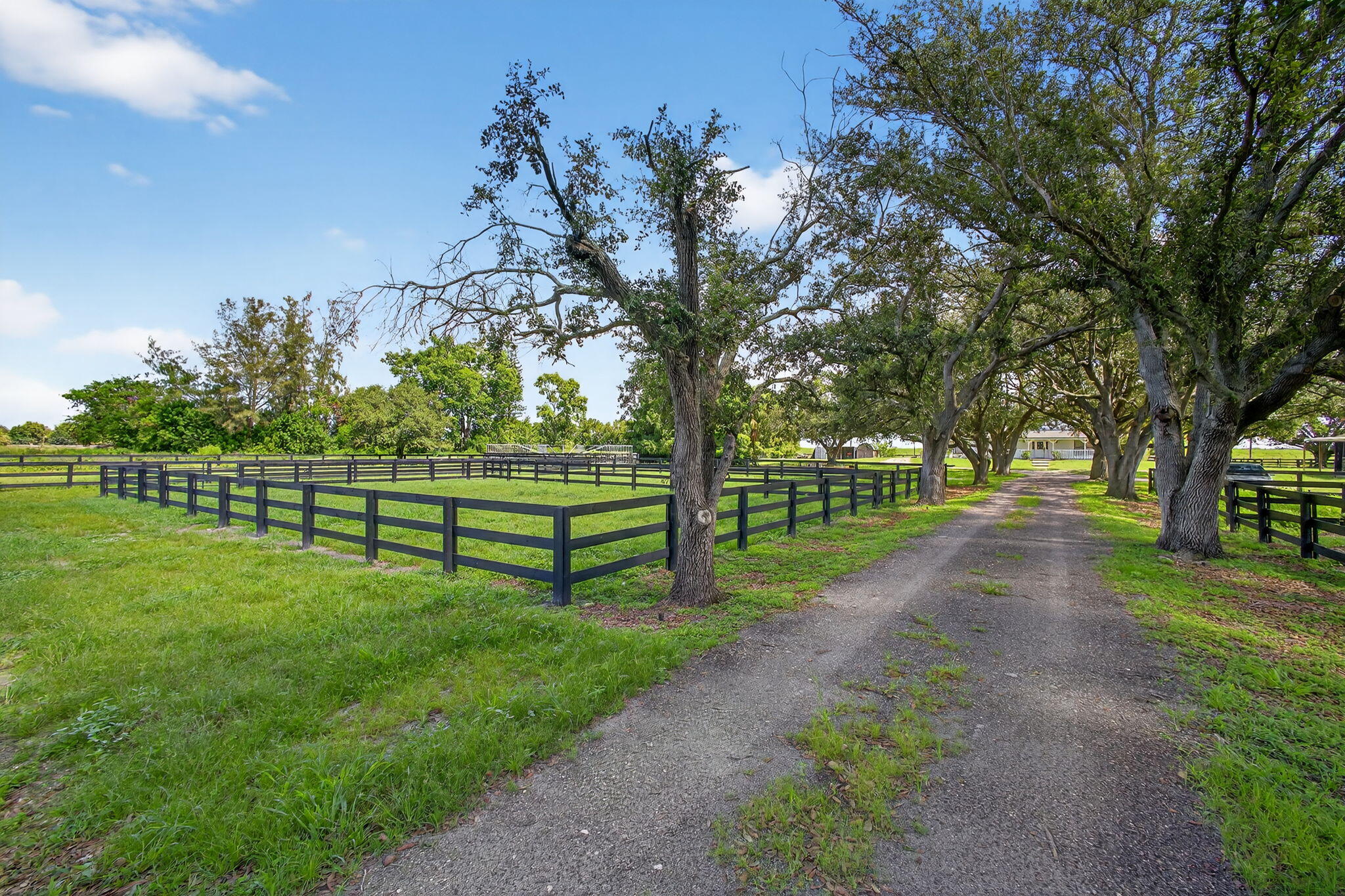16229 Rustic Road Wellington, FL 33470 - Photo 81 of 140 a view of park with large trees