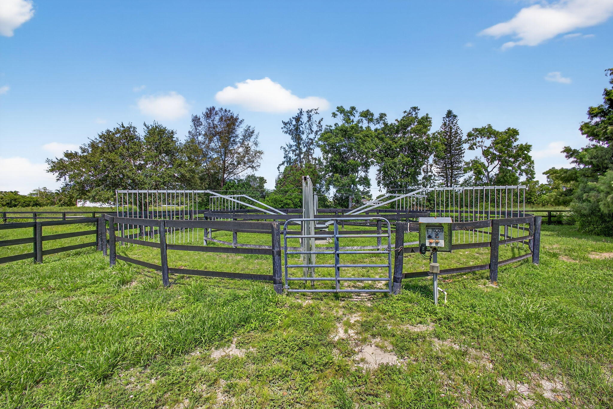 16229 Rustic Road Wellington, FL 33470 - Photo 83 of 140 80-web-or-mls-BS1A8167