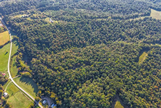 a view of a yard with plants and wooden fence