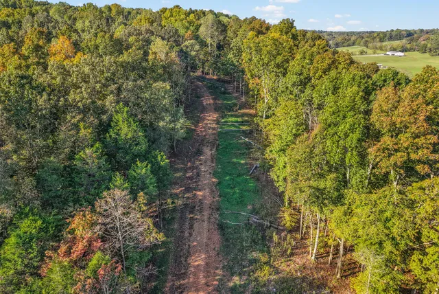 a view of a lake with a mountain