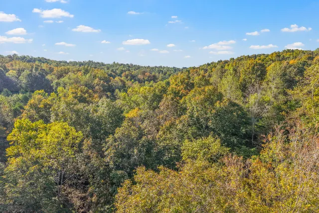 an aerial view of swimming pool
